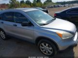 HONDA CR-V EX photo