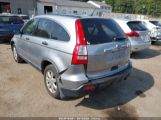 HONDA CR-V EX photo