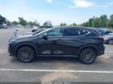 LEXUS NX 350 PREMIUM photo