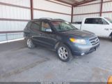 HYUNDAI SANTA FE LIMITED/SE photo