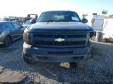 CHEVROLET SILVERADO 1500 LS/WORK TRUCK photo