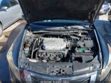 HONDA ACCORD 3.5 EX-L photo