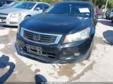 HONDA ACCORD 3.5 EX-L photo