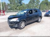 HONDA CR-V EX photo