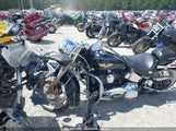 HARLEY-DAVIDSON FLSTN SOFTAIL DELUXE 1HD1JDV11CB****** fotografie