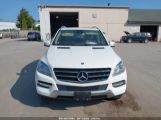 MERCEDES-BENZ ML 350 4MATIC photo