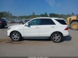 MERCEDES-BENZ ML 350 4MATIC photo