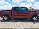 FORD F-150 FX2 SPORT/XL/XLT 1FTEW1C82AK****** photo