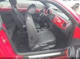 VOLKSWAGEN BEETLE 2.5L 3VWJP7AT2CM665045 снимка