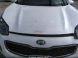 KIA SPORTAGE EX photo