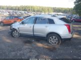 CADILLAC SRX LUXURY COLLECTION снимка