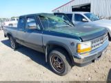 DODGE DAKOTA photo