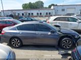 HONDA ACCORD EX photo