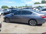 HONDA ACCORD EX photo