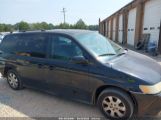 HONDA ODYSSEY EX-L снимка