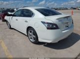 NISSAN MAXIMA 3.5 S photo