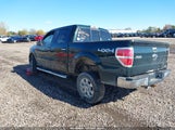 Ford F-150 Xlt 1FTFW1EF1EKF52825 снимка