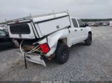 CHEVROLET SILVERADO 1500 WT photo