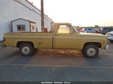 Chevrolet C20 CCT243S116717 снимка