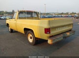 Chevrolet C20 CCT243S116717 снимка