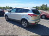 FORD ESCAPE TITANIUM photo