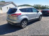 FORD ESCAPE TITANIUM photo