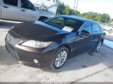 LEXUS ES 300H photo