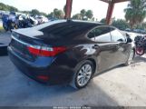 LEXUS ES 300H photo