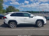 TOYOTA RAV4 XLE photo