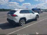 TOYOTA RAV4 XLE photo