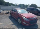 HYUNDAI SONATA HYBRID photo