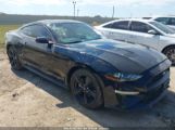 FORD MUSTANG ECOBOOST FASTBACK photo