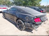 FORD MUSTANG ECOBOOST FASTBACK photo