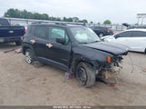 JEEP RENEGADE SPORT FWD ZACNJAAB2LP****** fotografie