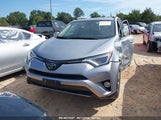 TOYOTA RAV4 XLE JTMWFREV6JD****** снимка