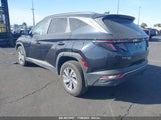 HYUNDAI TUCSON HYBRID BLUE KM8JBCA10NU****** снимка