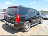 CADILLAC ESCALADE STANDARD 1GYUKAEF8AR****** fotografie