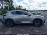 LEXUS NX 250 photo