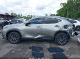 LEXUS NX 250 photo