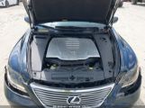 LEXUS LS 460 photo