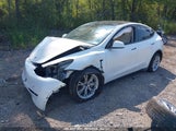 TESLA MODEL Y LONG RANGE DUAL MOTOR ALL-WHEEL DRIVE 7SAYGDEEXNF355439 fotografie