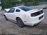 FORD MUSTANG V6 PREMIUM 1ZVBP8AM8D5260415 снимка