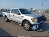 FORD F-150 FX4/LARIAT/XL/XLT photo