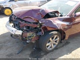 ACURA TL 3.5 19UUA8F24DA****** снимка