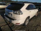 LEXUS RX 350 photo