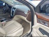 CADILLAC SRX PERFORMANCE COLLECTION снимка