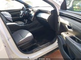 HYUNDAI SANTA CRUZ SEL PREMIUM 5NTJDDAF1NH****** fotografie