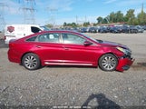 HYUNDAI SONATA SPORT 5NPE34AF7FH146348 photo
