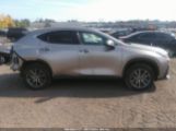 LEXUS NX 350 снимка