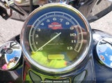 HARLEY-DAVIDSON FLS SOFTAIL SLIM 1HD1JRV13HB****** снимка